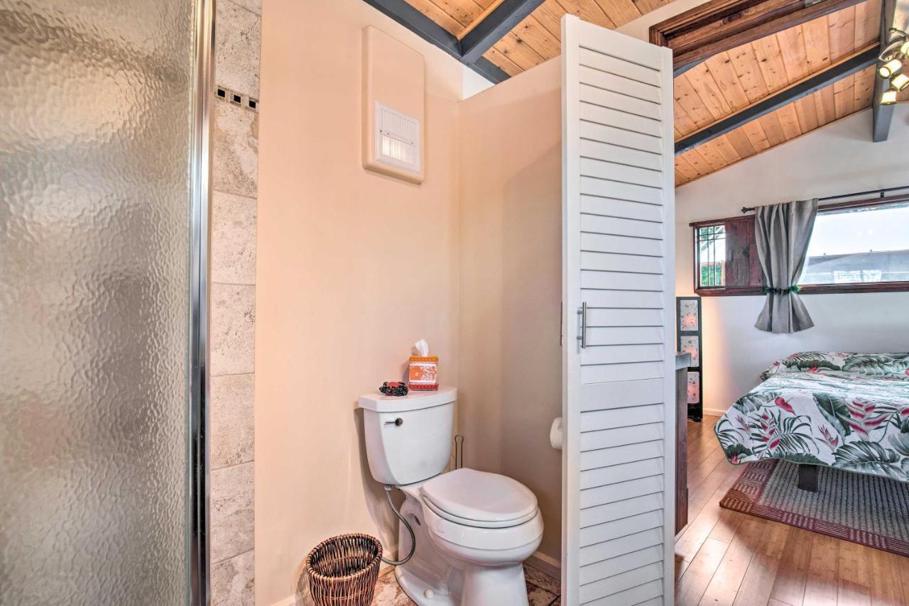 Cozy Volcano Studio With Phenomenal Rainforest Views Mountain View Exterior photo